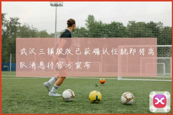 武汉三镇股改已获确认任航即将离队消息待官方宣布